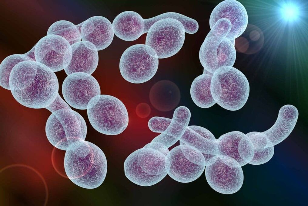 Vīriešu bakteriālā prostatīta izraisītājs